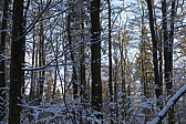 p1060219.jpg