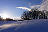 p1060226.jpg