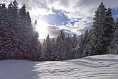 p1060334.jpg