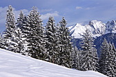 p1060339.jpg