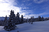 p1060341.jpg