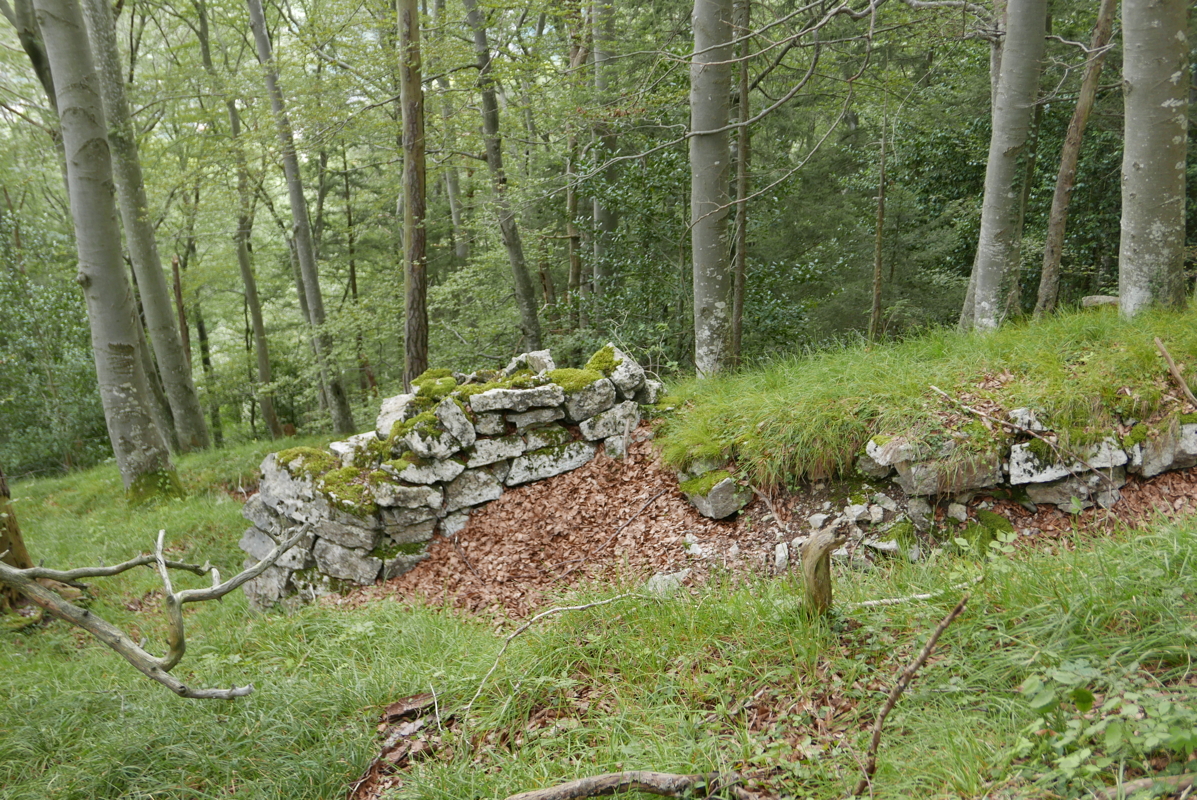 p1100128.jpg