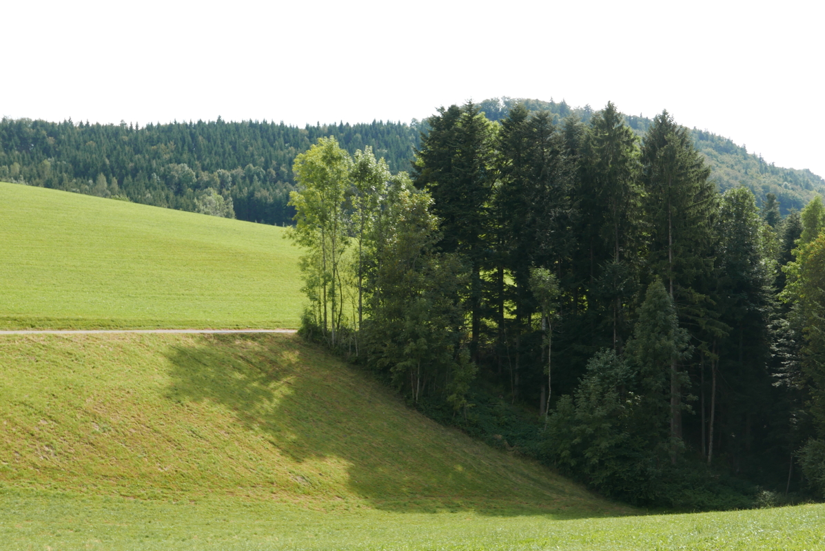 p1100131.jpg