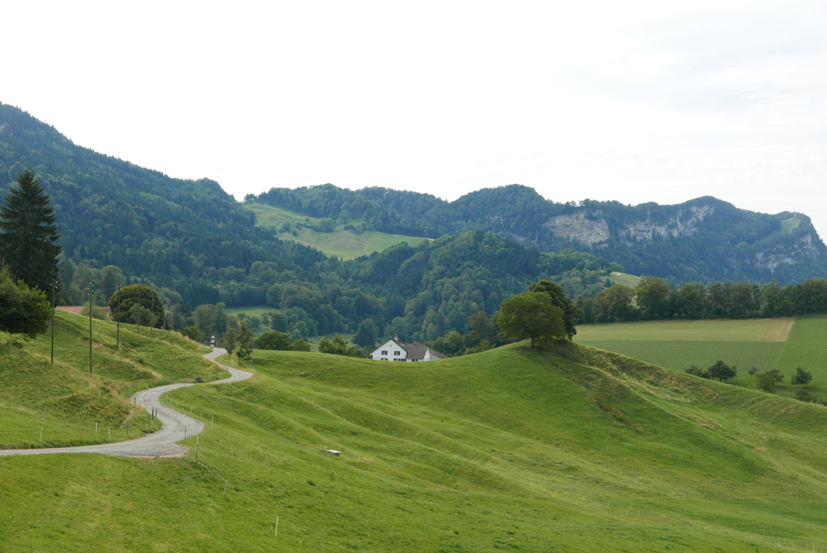 p1100139.jpg