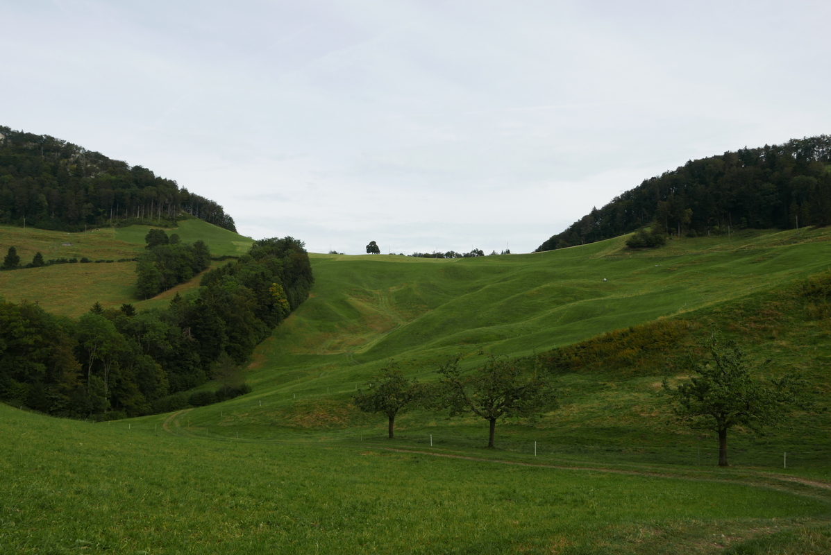 p1100141.jpg