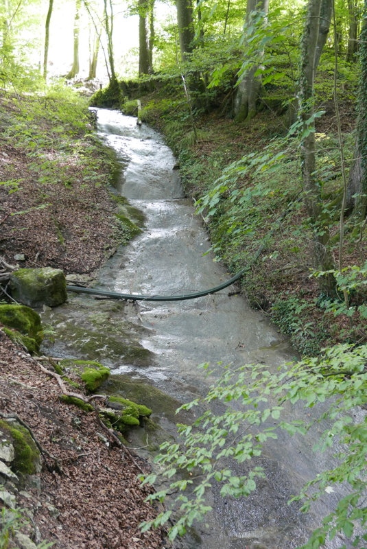 p1100142.jpg