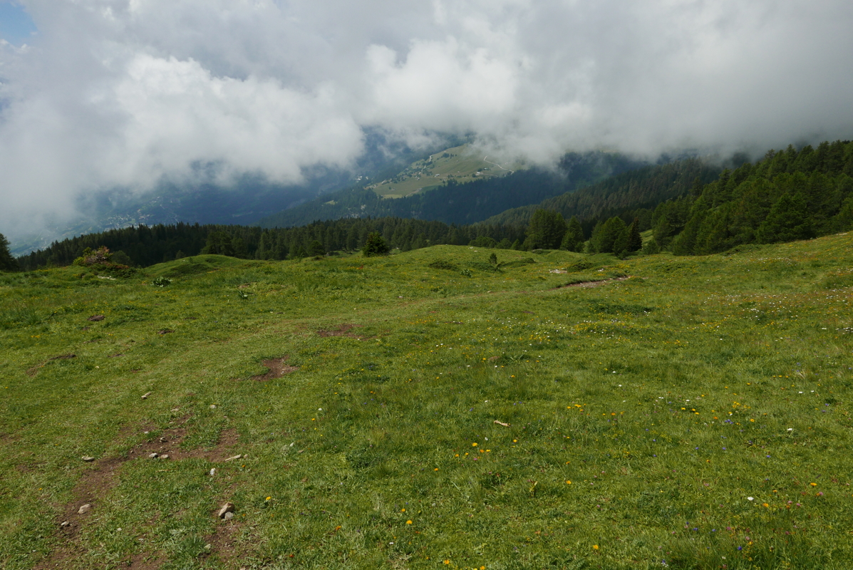 p1090613.jpg