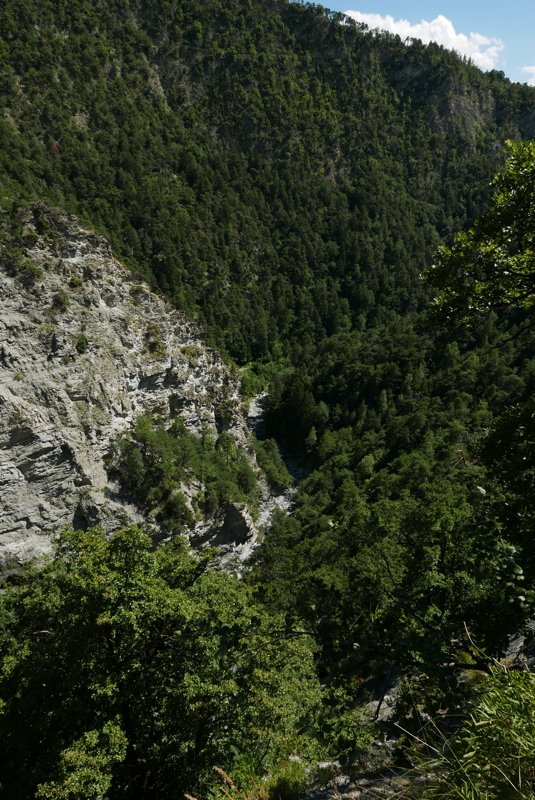 p1090619.jpg