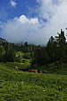 p1090598.jpg