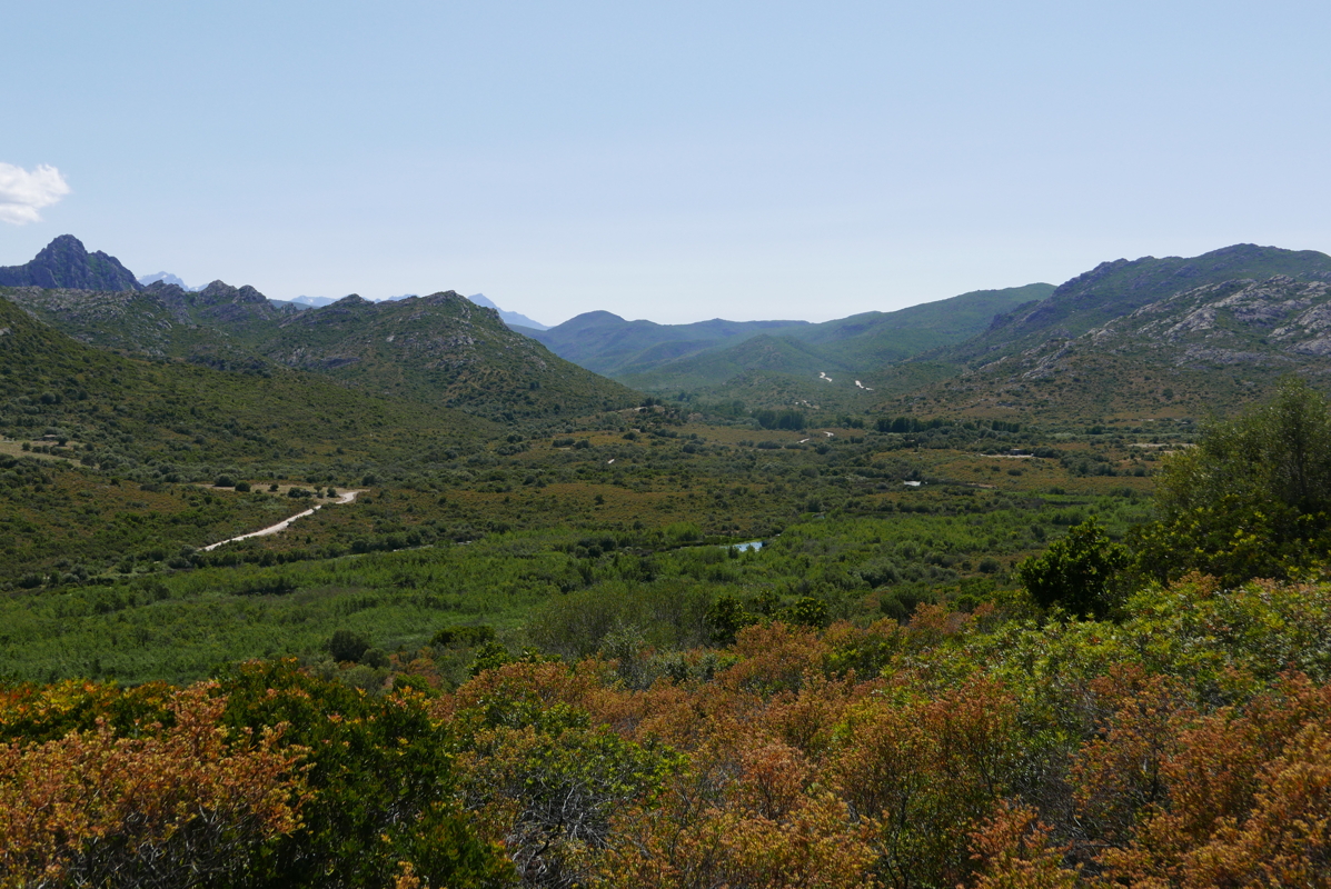 p1090176.jpg