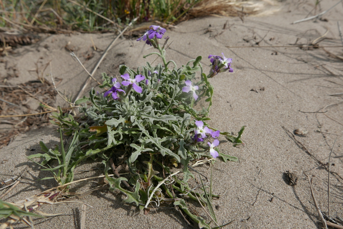 p1090187.jpg