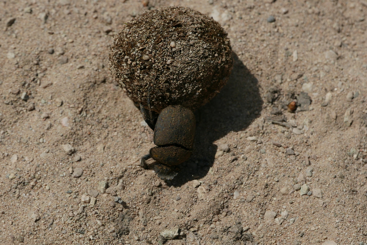 p1090200.jpg