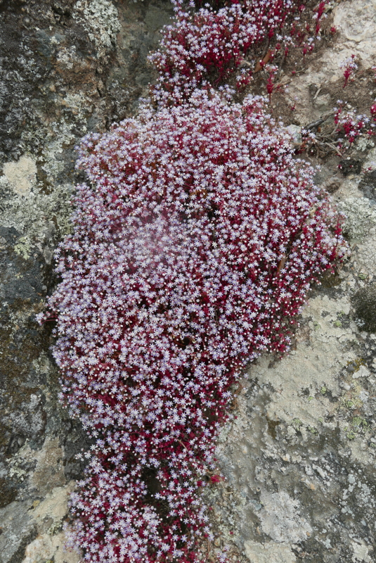 p1090215.jpg