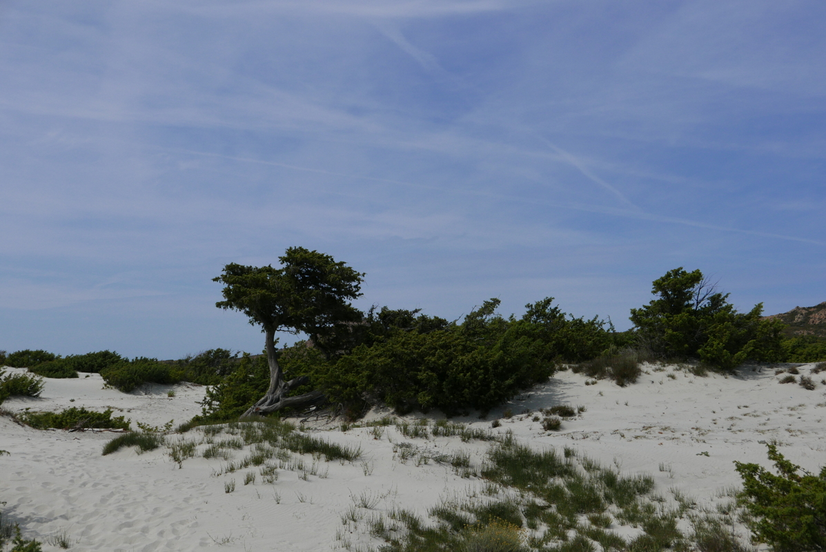 p1090217.jpg
