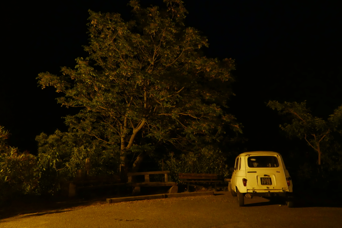 p1090246.jpg