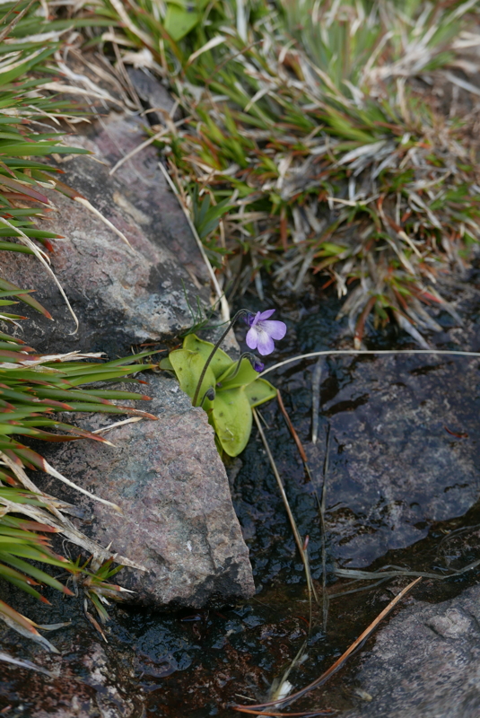 p1090262.jpg