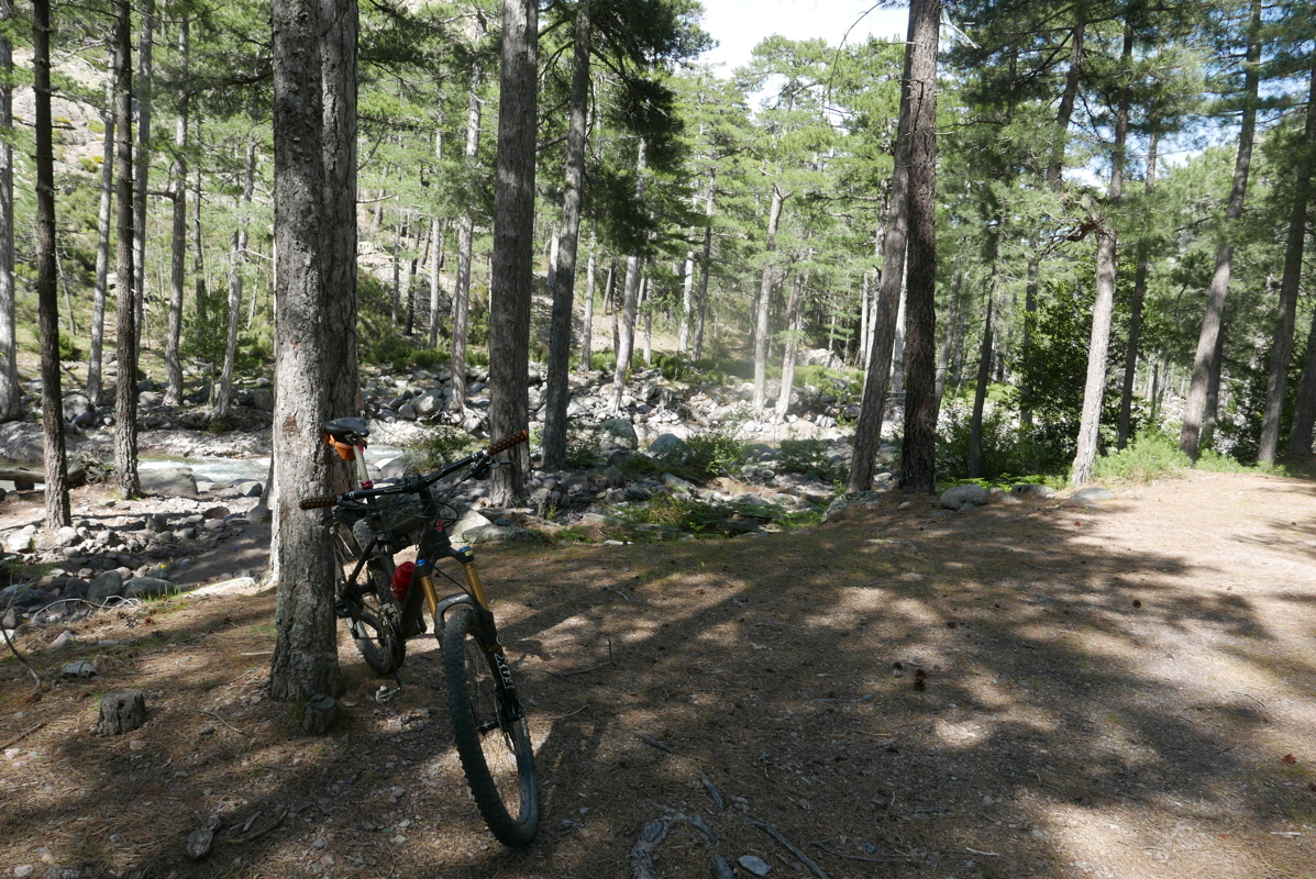 p1090284.jpg