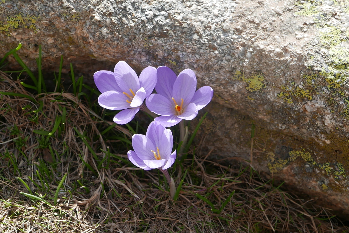 p1090336.jpg