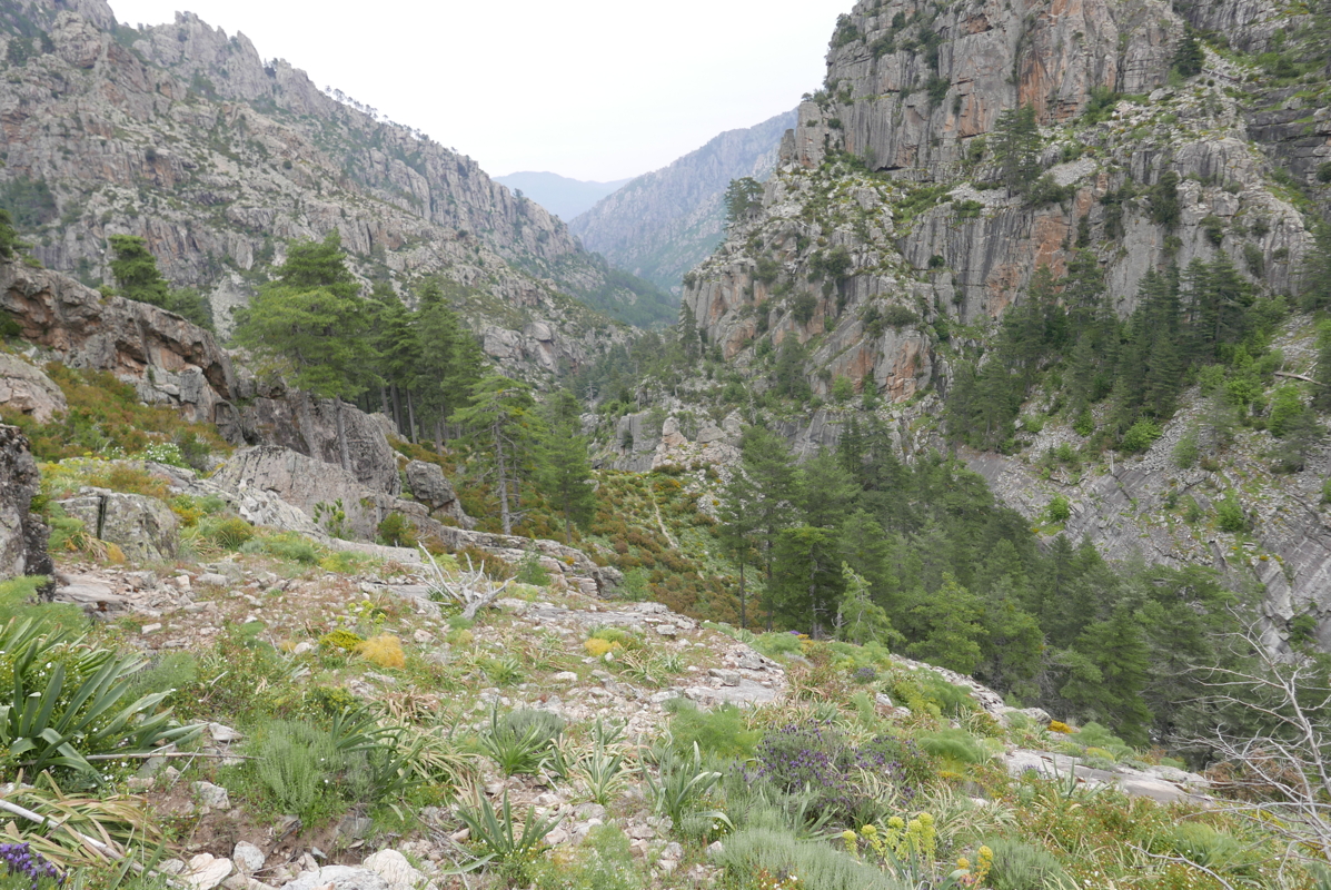 p1090351.jpg
