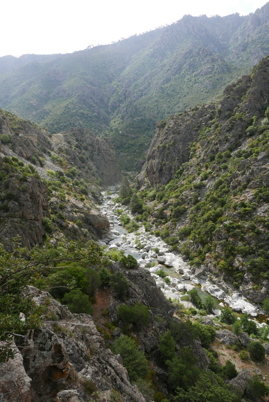 p1090352.jpg