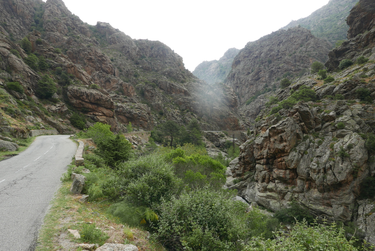 p1090355.jpg