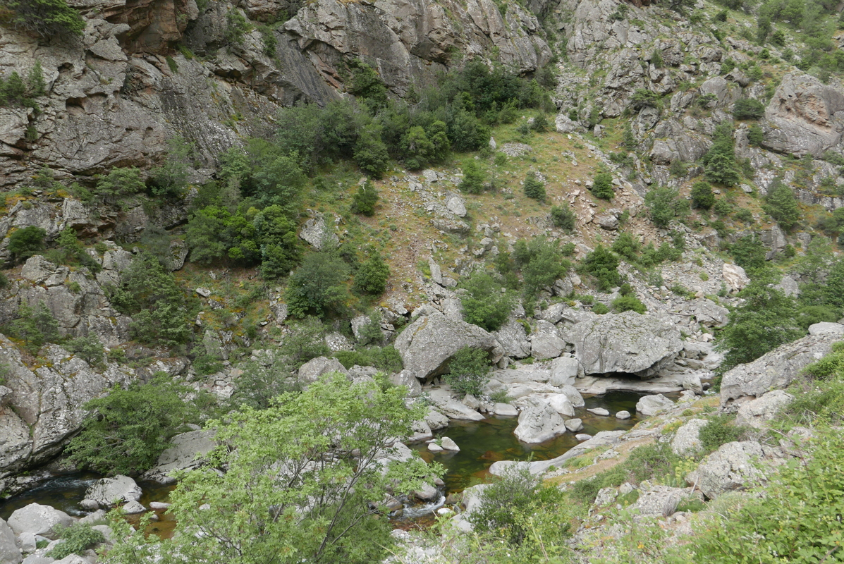 p1090356.jpg