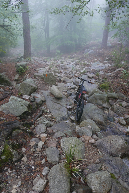 p1090363.jpg