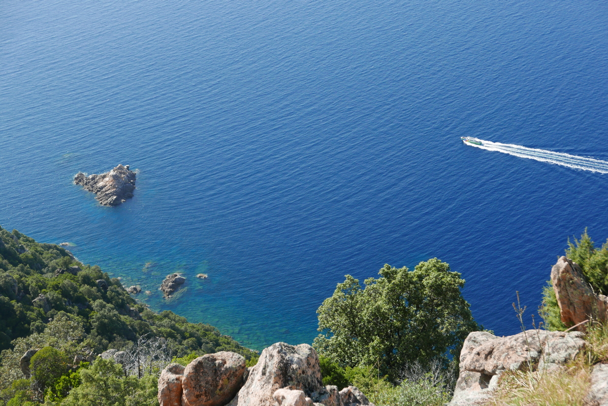 p1090386.jpg