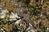p1090150.jpg