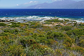 p1090157.jpg