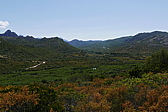 p1090176.jpg