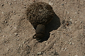 p1090200.jpg
