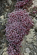 p1090215.jpg
