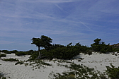 p1090217.jpg