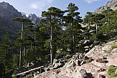 p1090250.jpg
