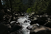 p1090253.jpg