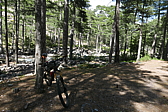 p1090284.jpg