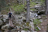 p1090346.jpg