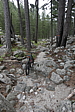 p1090349.jpg
