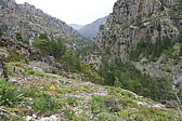 p1090351.jpg