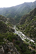 p1090352.jpg