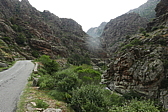 p1090355.jpg