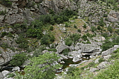 p1090356.jpg