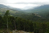 p1090359.jpg
