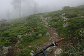 p1090362.jpg