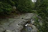 p1090365.jpg
