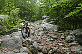 p1090366.jpg