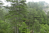 p1090367.jpg