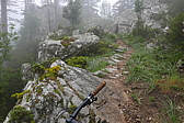 p1090368.jpg