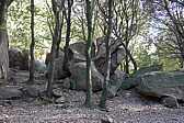 p1090377.jpg
